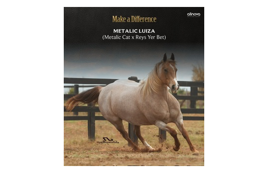 METALLIC LUIZA